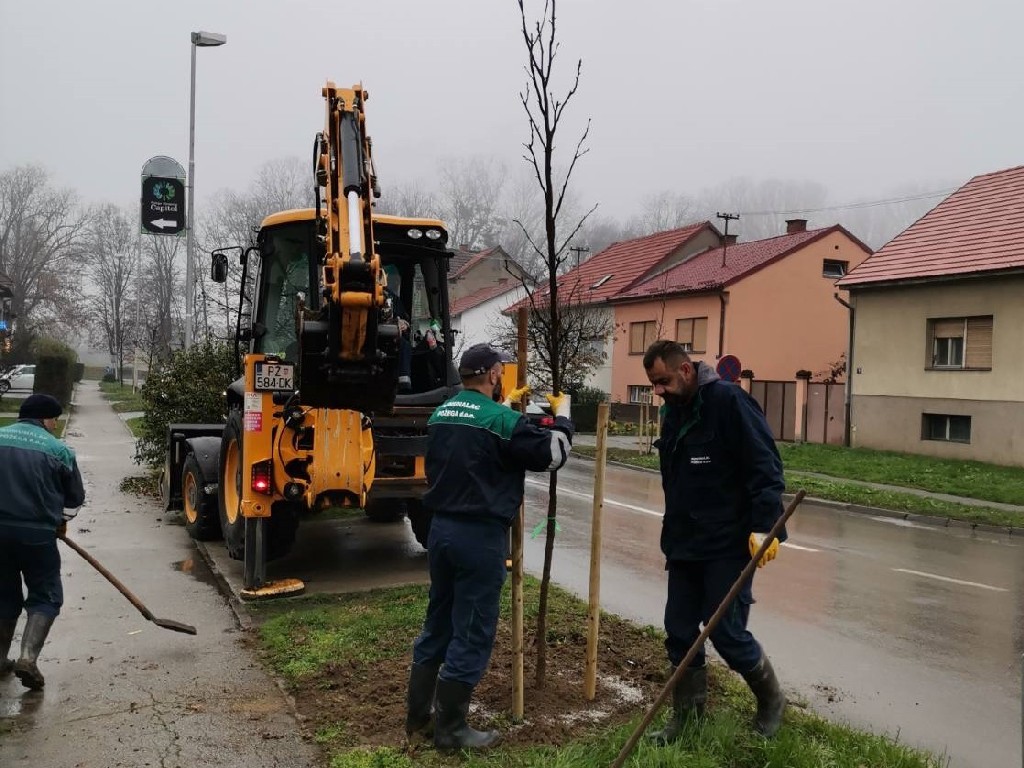 Za zeleniju Požegu